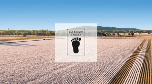 Pourquoi choisir le coton biologique : réduction de l’empreinte carbone
