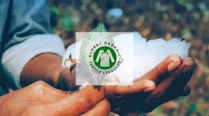 Pourquoi choisir le coton biologique : certification Global Organic Textile Standard