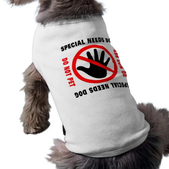 t-shirt pour petits chiens