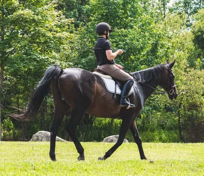 sport équestre de polo