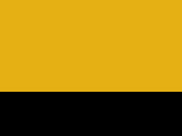 Jaune sport/Noir