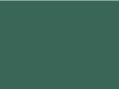 503 - Heather Sport Vert Foncé